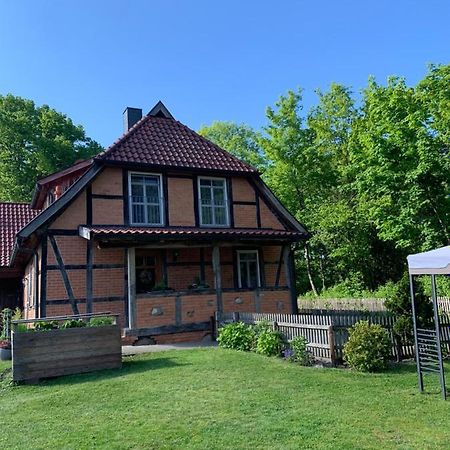 Ferienwohnung Mühlendamm Bergen  Exterior foto